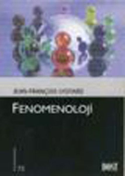 Fenomenoloji Kültür Kitaplığı 73
